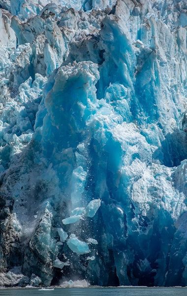 Alaska-Tracy Arm-Fords Terror Wilderness-Icebergs calving from blue ice face of South Sawyer Glacier